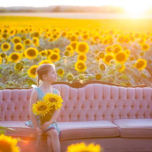 Toronto Sunflower Fields