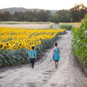 davis-farm-trail