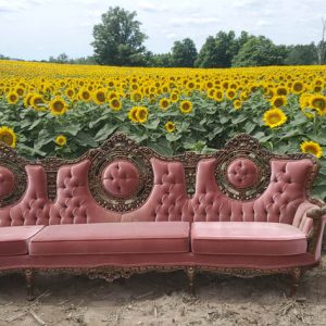 davis-sunflowers-34