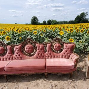 davis-sunflowers-35